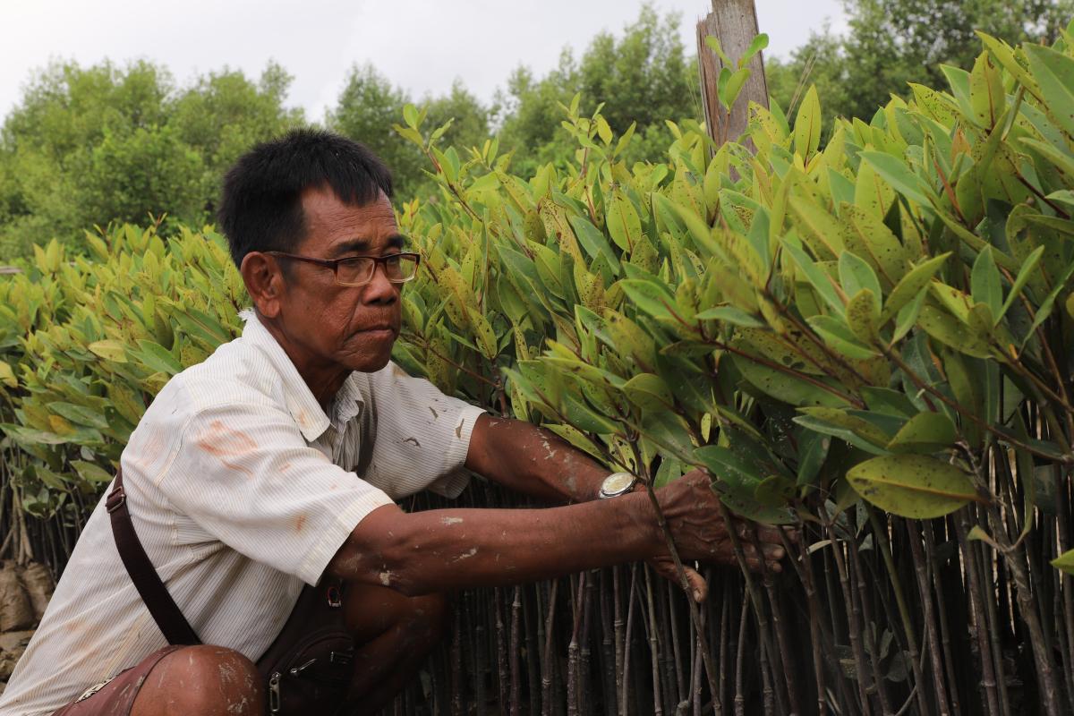 Mangrove Nursery Farms